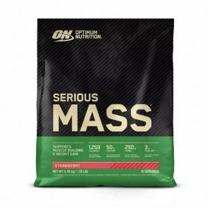 Optimum Nutrition Serious Mass Gainer Strawberry 5.45 kg (16 Servings) Pakistan | 203-KLBPFI